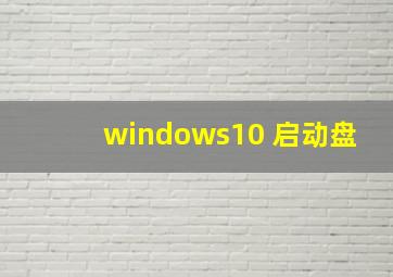 windows10 启动盘